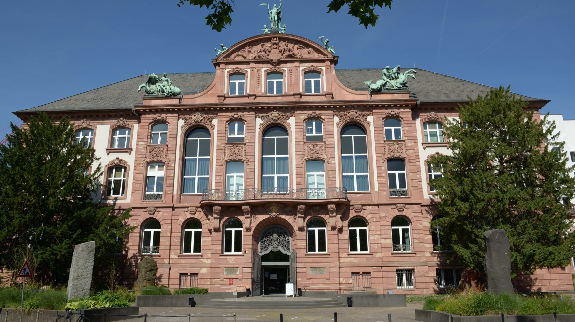 Foto: Senckenberg-Naturmuseum